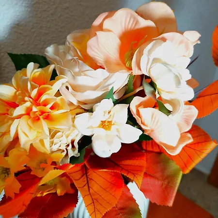 Seabreeze Lighthouse * 파로 데 쿠예라